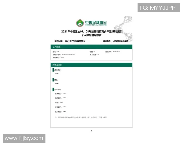 球员数据统计报告